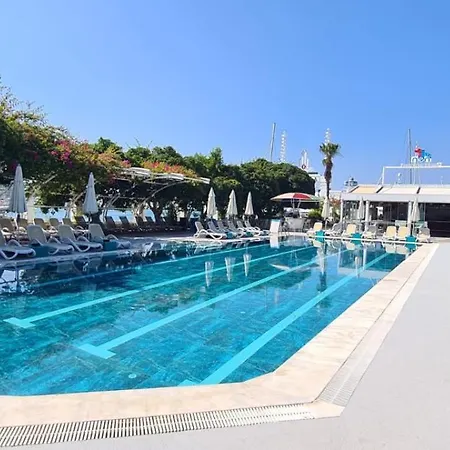 Demir Point By Safiya