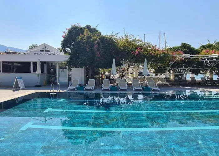 Demir Point By Safiya *