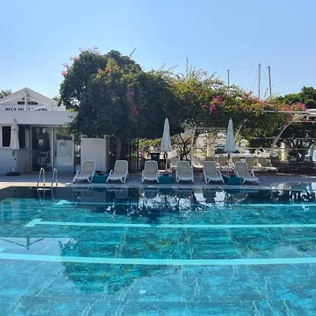 Demir Point By Safiya *